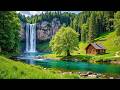 Healing Relaxing Music for Stress, Anxiety and Depression 🌿 Heals the Mind, Body and Soul