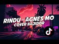 RINDU _ Agnes Monica ( Cover ) BAJIDOR Enaken Viral Tiktok 2024🎧.