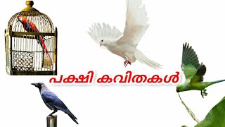 പക്ഷി കവിതകൾ |pakshi kavithakal |My class room