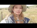 川西自驾vlog｜比爱更大的只有自然｜国庆假期旅游