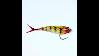 THE PAINTED BAIT FISH