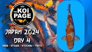 TheKoiPage |  Japan Day 4 | Win een zak FD Food! | Hiroi - Otsuka - Kyochan - Tokyo |