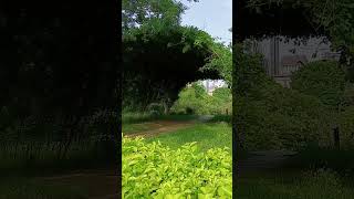 [ Landscape Design - Green Entrance ] [ 庭園造景 - 綠色入口 ] [ 庭园造景 - 绿色入口 ]