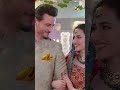 Sana Javaid Ki Shadi.....! #sanajaved #osmankhalid #shorts #humtv