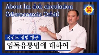 국선도 정법 행공 - 임독유통법에 대하여