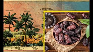 Dates History and Seasonal Availability