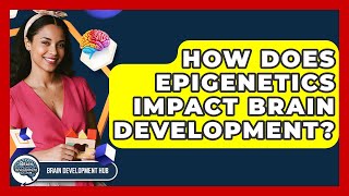 How Does Epigenetics Impact Brain Development? - Brain Development Hub