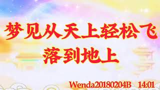 卢台长开示：梦见从天上轻松飞落到地上Wenda20180204B   14:01