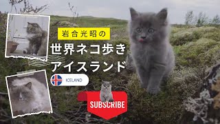 世界ネコ歩き アイスランドIceland (Iwago Mitsuaki)