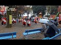 【ひかり散歩】いちょう祭り　よさこい2　ginkgo festival yosakoi 2