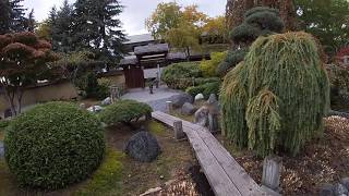 Kasugai Japanese Garden in the fall