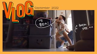 vlog 평범한 일상이 주는 행복🍯