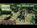 Empires of the Undergrowth #128: Driver Ant Has Arrived