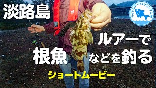 6月の淡路島｜ルアーで根魚釣り・まさかのキスも！