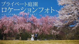 期間限定【プライベート庭園】桜ロケーションフォト