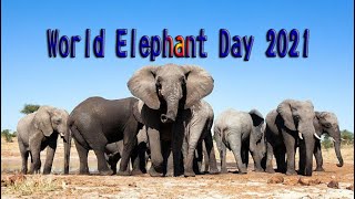 World elephant day 2021 - உலக யானைகள் தினம் 2021