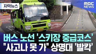 [자막뉴스] 버스 노선 '스키장 중급코스'..\