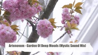 Artenovum - Garden Of Deep Moods - Kirschblüten in Bonn 2016 Cherry blossoms Bonn (HD)