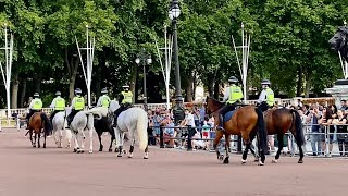 All Female Police Arrives At Palace On Beautiful Horses