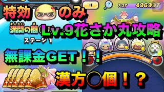 特効守野花子のみでLv.9花さか丸攻略！漢方何個必要！？\u0026なんだこのゴミボールは「無課金ぷにぷに」