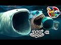 360 Evolution of Bloop with Size Comparison | 360 video 4K