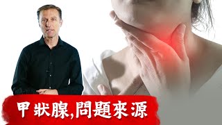 (甲狀腺3)甲狀腺症狀真正原因：碘, 肝, 膽汁,雌激素? 柏格醫生dr berg