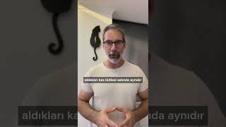 Soğan suyu testosteronu arttırır mı?