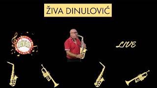 ŽIVA DINULOVIĆ - DANC KOLA UŽIVO (VlaskiMelos)