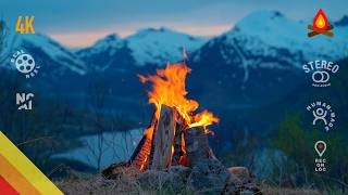 CAMPFIRE 🔥 wildfire (real scene – no AI or CGI)