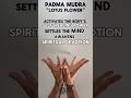 Padma Mudra | 