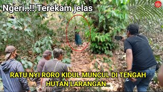 NGERI..! Terekam Jelas, Penampakan Nyi Roro Kidul Asli Di Tengah Hutan Larangan