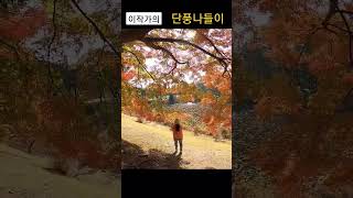 아름다운 단풍의 세계 #현충원 #오색단풍길