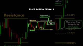 Price Action Signals (the best new traders guideline) 🔥🔥