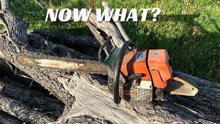 I Bought A STIHL 044 For $30 At AUCTION.