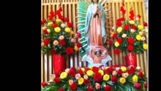 SAINT MATTHEW CATHOLIC CHURCH, Arlington, TX
