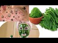 Wajiga finanka iyo saliida leh haraha uga nadiifi moringa #face #mask #721