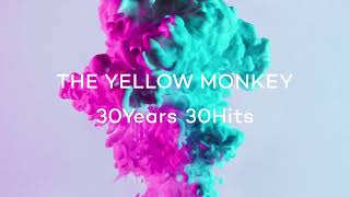 THE YELLOW MONKEY –聖なる海とサンシャイン -2022 Remaster- (Official Audio)