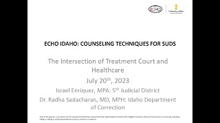 The Intersection of Treatment Court and Healthcare - 7/20/2023