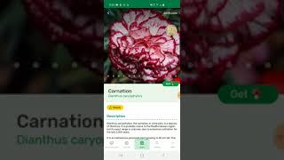 Plantsnap App IDs Plants With AI