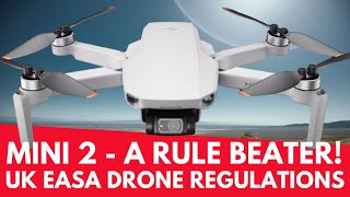 DJI Mini 2 – Drone Rule Beater! UK EASA Drone Regulations Series - Geeksvana