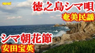 シマ朝花　安田宝英　奄美民謡　徳之島シマ唄　amami【字幕】