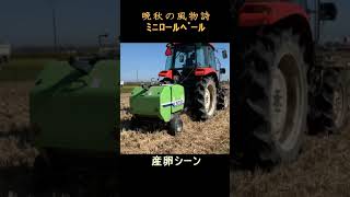 ロールベーラー 産卵シーン 【STAR MINI ROLL BALER 0800】#Shorts