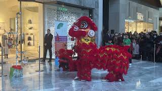 Lion Dance at 2023 Chinese New Year celebrations at Hudson Yards in New York City