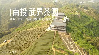 南投武界茶園 202104 |視野最棒的茶園|雲海的故鄉|島嶼的蒼穹空拍242|4K空拍 Bee Show 2021 TAIWAN