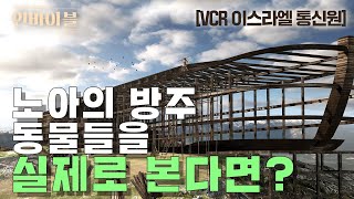 [VCR] 성경 동물원이 따로 있다고요?!