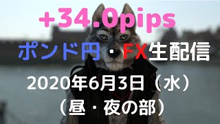 【FXライブ配信】ポンド円・FX専業トレーダーが本気で挑む！ 30万円チャレンジ(8日目)