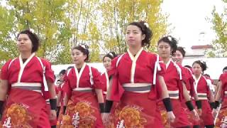 岡大祭 2017 岡山うらじゃ連 蓮雫(れんげ)