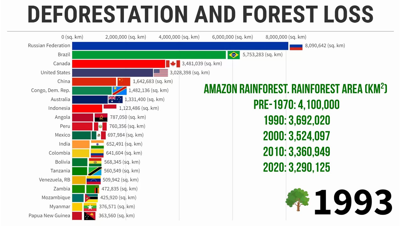 Deforestation And Forest Loss - YouTube