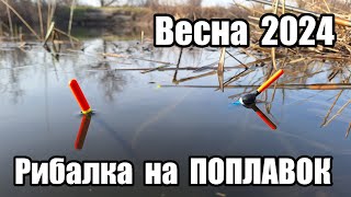 Рибалка на ПОПЛАВОК в перші теплі дні весни. Відкриття сезону 2024. Дністер Маяки