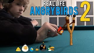 Real Life Angry Birds 2